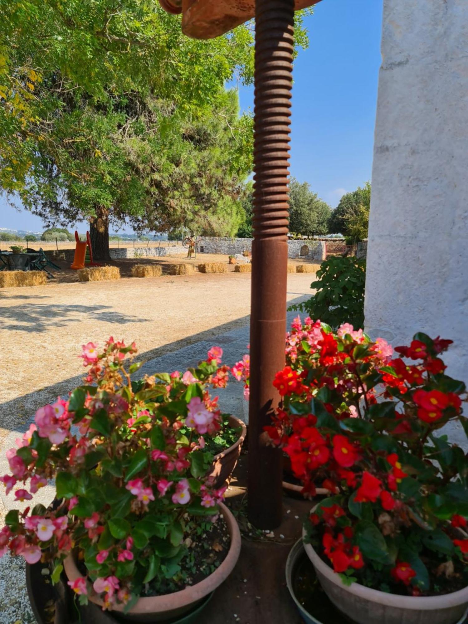Masseria Gianca Cisternino Eksteriør billede