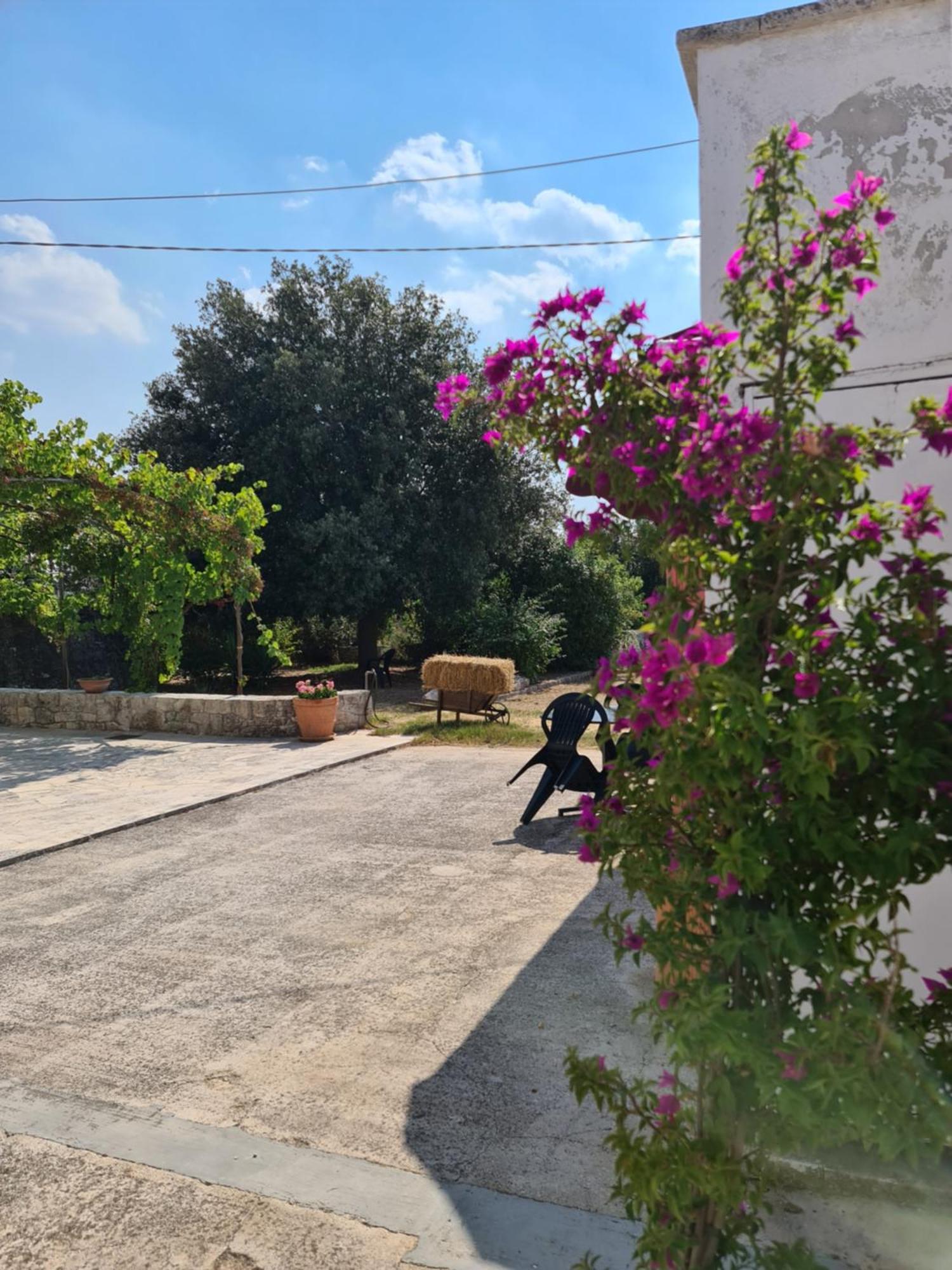 Masseria Gianca Cisternino Eksteriør billede